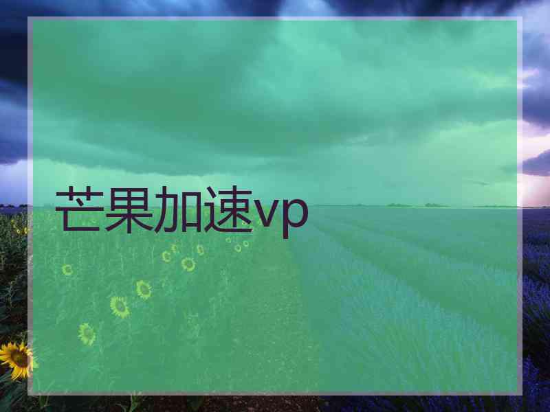 芒果加速vp