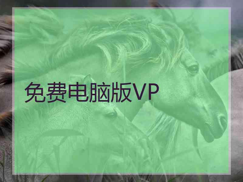 免费电脑版VP