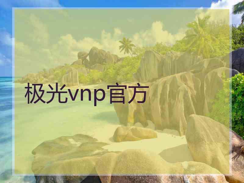 极光vnp官方