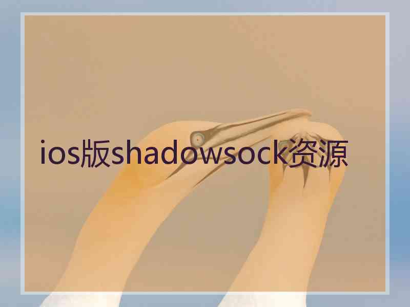 ios版shadowsock资源