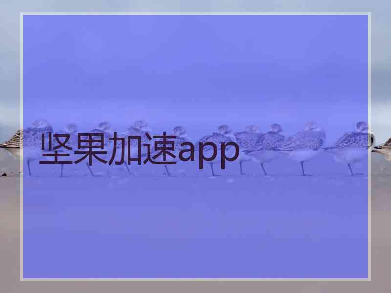 坚果加速app