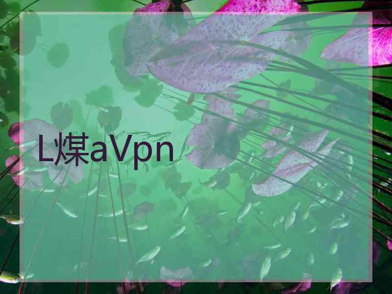 L煤aVpn