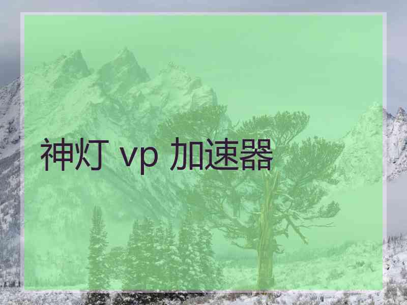 神灯 vp 加速器