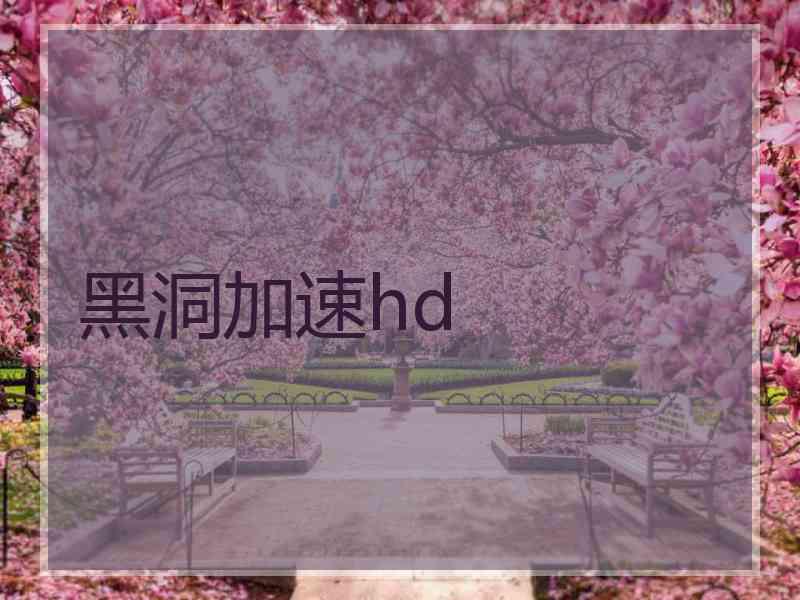 黑洞加速hd